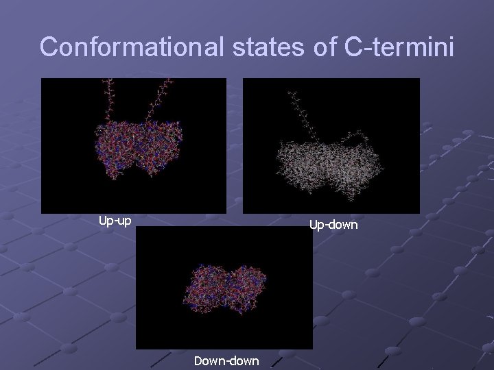 Conformational states of C-termini Up-up Up-down Down-down 