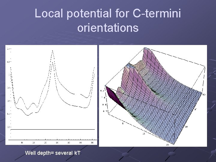 Local potential for C-termini orientations Well depth= several k. T 