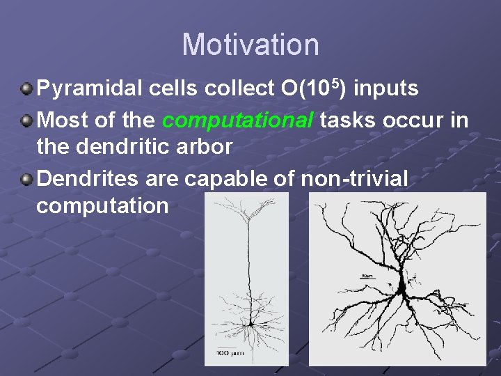 Motivation Pyramidal cells collect O(105) inputs Most of the computational tasks occur in the