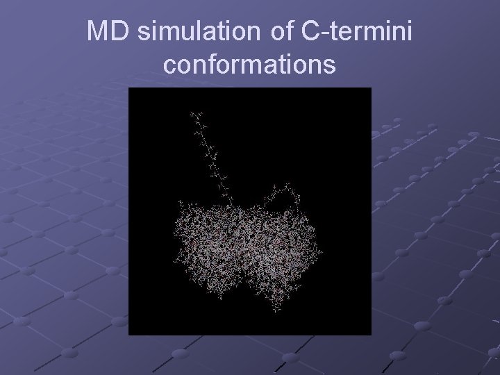 MD simulation of C-termini conformations 