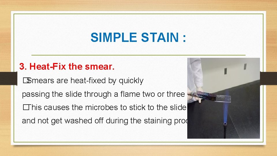 SIMPLE STAIN : 3. Heat-Fix the smear. �Smears are heat-fixed by quickly passing the