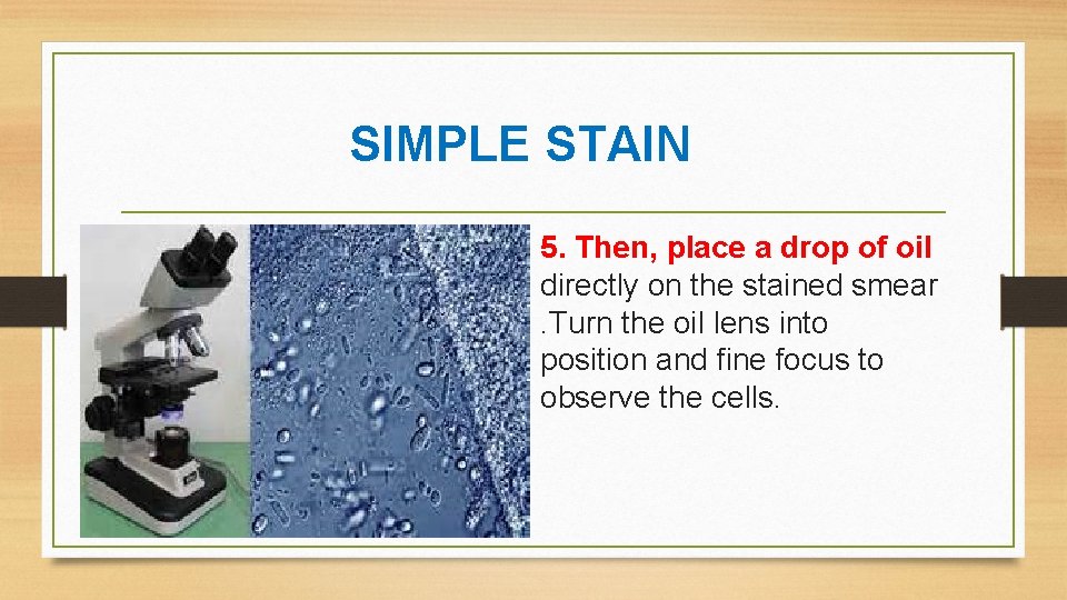 SIMPLE STAIN 5. Then, place a drop of oil directly on the stained smear.