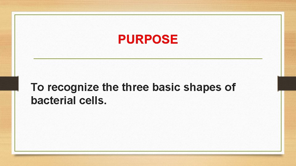PURPOSE To recognize three basic shapes of bacterial cells. 