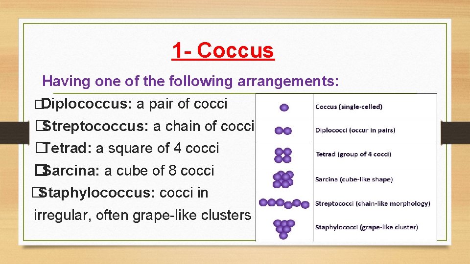 1 - Coccus Having one of the following arrangements: �Diplococcus: a pair of cocci