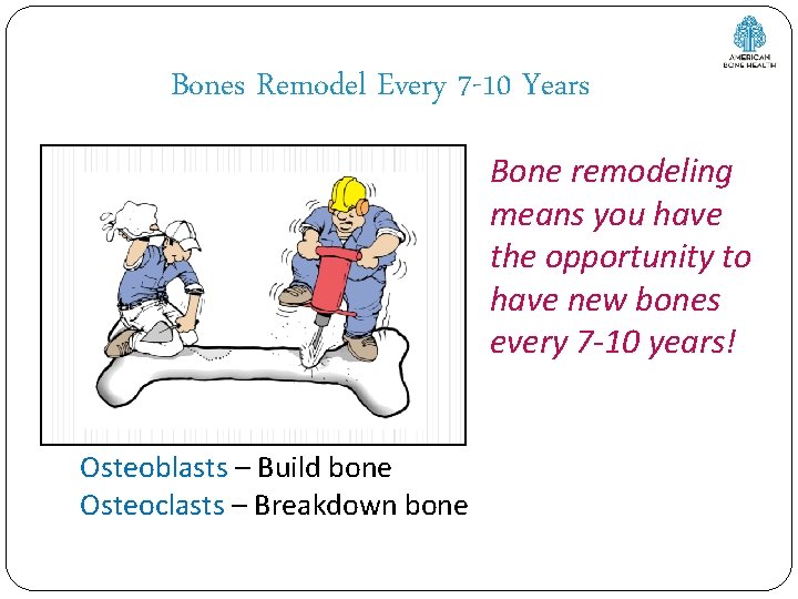 Bones Remodel Every 7 -10 Years Bone remodeling means you have the opportunity to