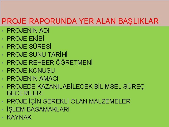 PROJE RAPORUNDA YER ALAN BAŞLIKLAR • • • PROJENİN ADI PROJE EKİBİ PROJE SÜRESİ