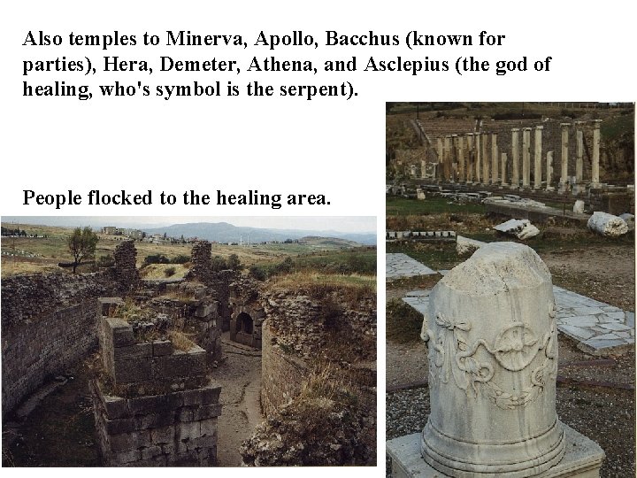 Also temples to Minerva, Apollo, Bacchus (known for parties), Hera, Demeter, Athena, and Asclepius