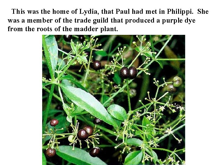 This was the home of Lydia, that Paul had met in Philippi. She was