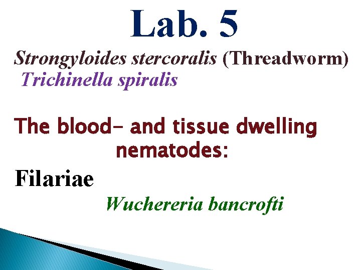 Lab. 5 Strongyloides stercoralis (Threadworm) Trichinella spiralis The blood- and tissue dwelling nematodes: Filariae