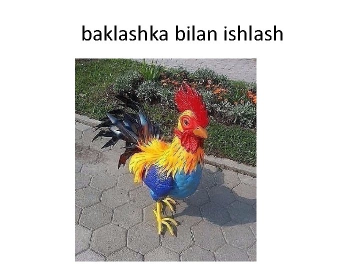 baklashka bilan ishlash baklashka bilan ishlash