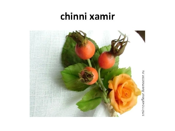 chinni xamir chinni xamir