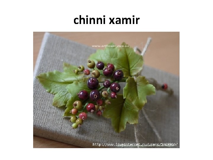 chinni xamir chinni xamir