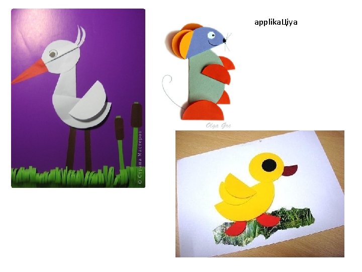 applika. Цiya applika. Цiya