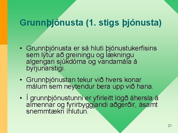 Grunnþjónusta (1. stigs þjónusta) • Grunnþjónusta er sá hluti þjónustukerfisins sem lýtur að greiningu