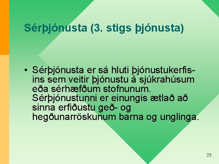 Sérþjónusta (3. stigs þjónusta) • Sérþjónusta er sá hluti þjónustukerfisins sem veitir þjónustu á