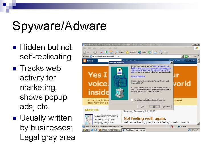 Spyware/Adware n n n Hidden but not self-replicating Tracks web activity for marketing, shows
