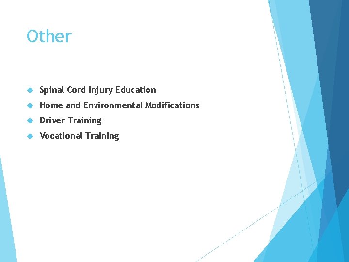 Other Spinal Cord Injury Education Home and Environmental Modifications Driver Training Vocational Training 