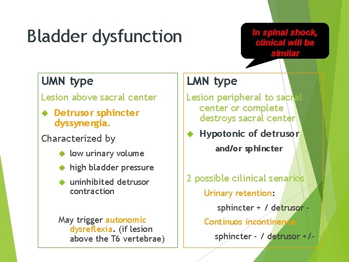 Bladder dysfunction In spinal shock, clinical will be similar UMN type Lesion above sacral