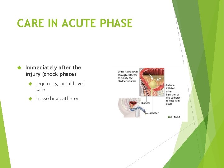 CARE IN ACUTE PHASE Immediately after the injury (shock phase) requires general level care