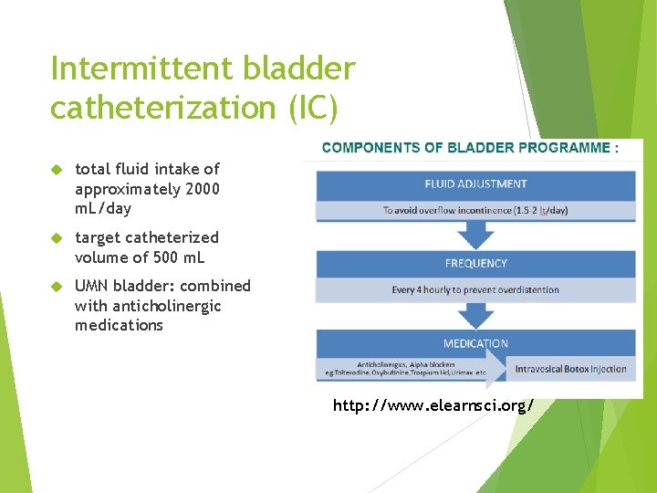 Intermittent bladder catheterization (IC) total fluid intake of approximately 2000 m. L/day target catheterized