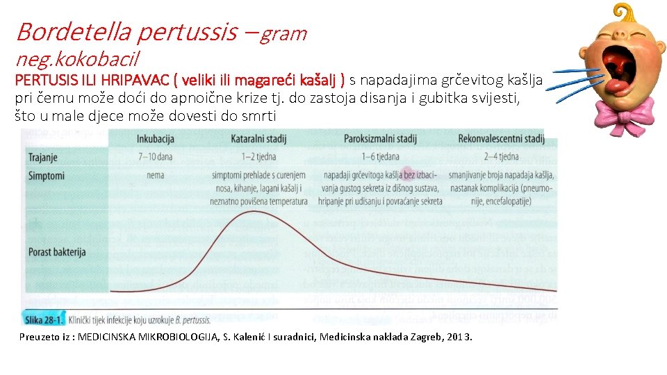 Bordetella pertussis – gram neg. kokobacil PERTUSIS ILI HRIPAVAC ( veliki ili magareći kašalj