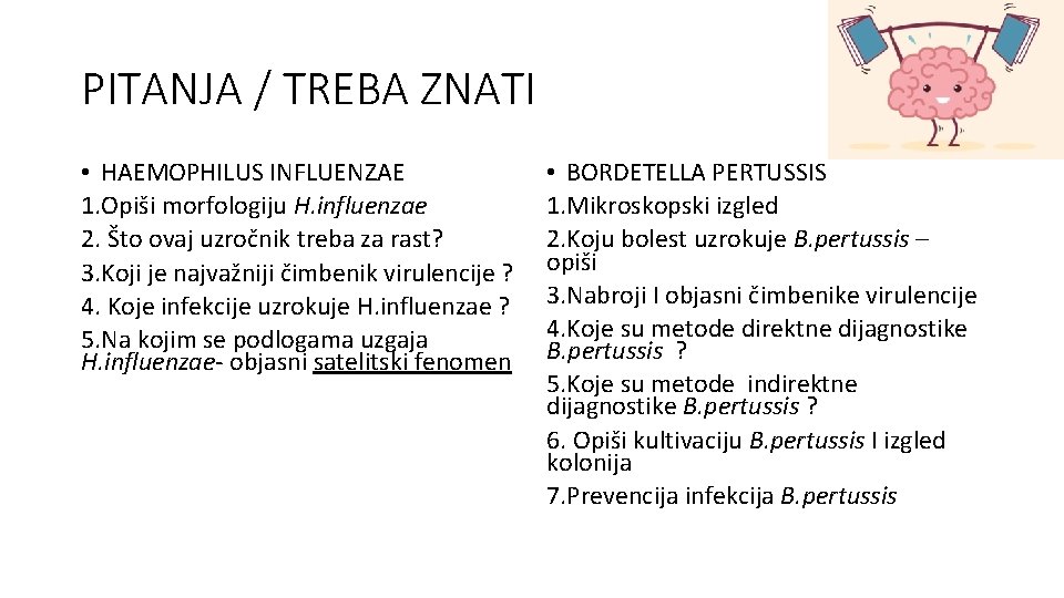 PITANJA / TREBA ZNATI • HAEMOPHILUS INFLUENZAE 1. Opiši morfologiju H. influenzae 2. Što