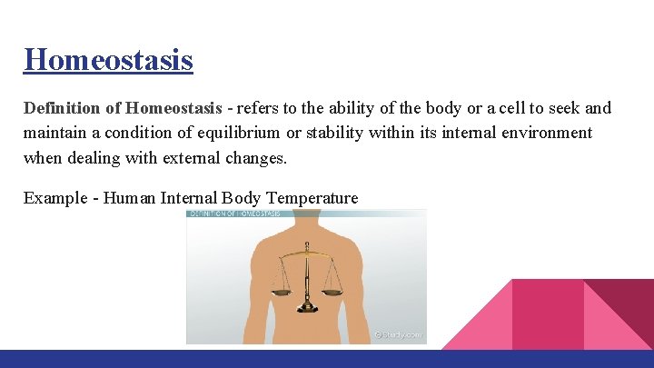 Homeostasis Definition of Homeostasis - refers to the ability of the body or a