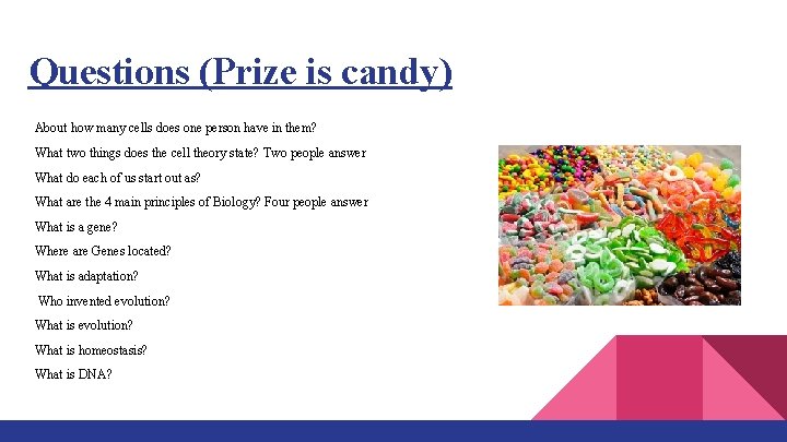 Questions (Prize is candy) About how many cells does one person have in them?