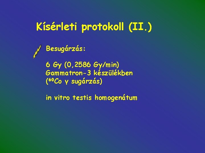 Kísérleti protokoll (II. ) Besugárzás: 6 Gy (0, 2586 Gy/min) Gammatron-3 készülékben (60 Co