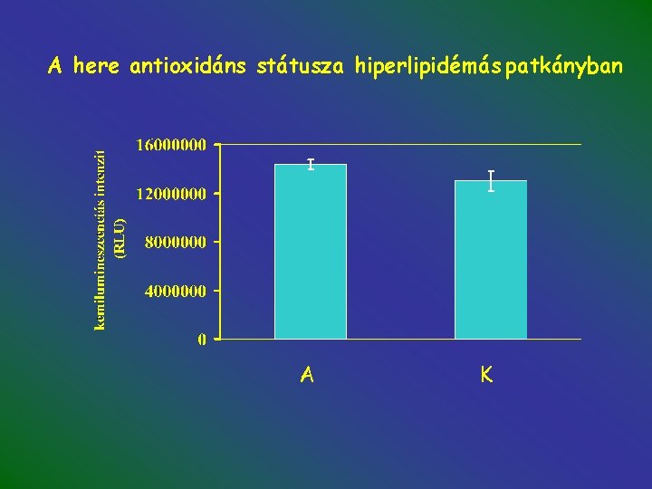 A here antioxidáns státusza hiperlipidémás patkányban A K 