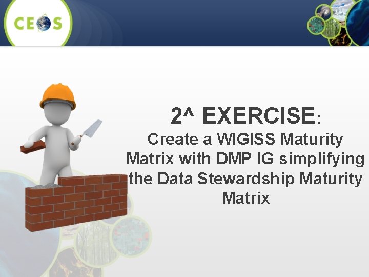 2^ EXERCISE: Create a WIGISS Maturity Matrix with DMP IG simplifying the Data Stewardship