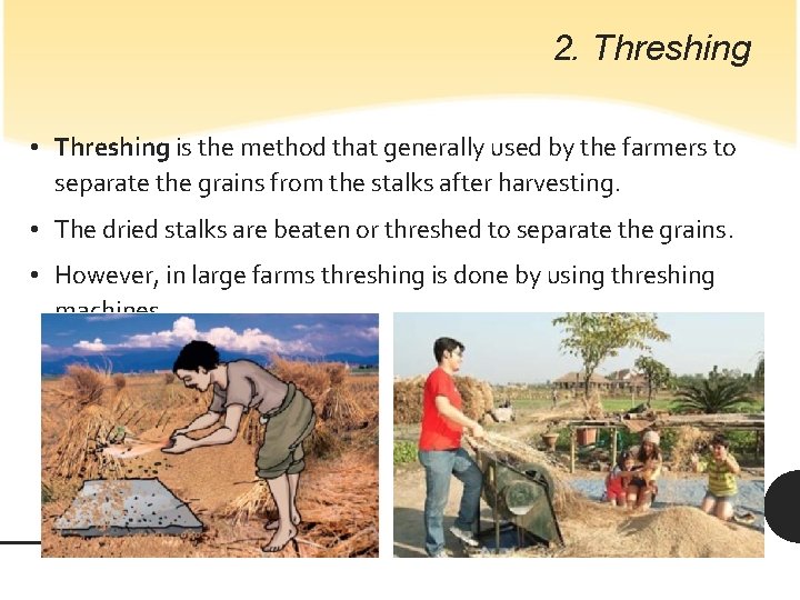 2. Threshing • Threshing is the method that generally used by the farmers to