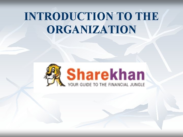 INTRODUCTION TO THE ORGANIZATION 