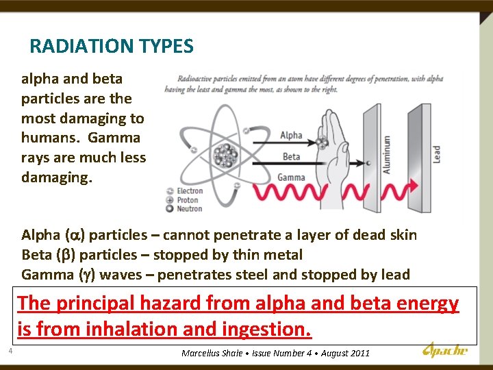 RADIATION TYPES alpha and beta particles are the most damaging to humans. Gamma rays