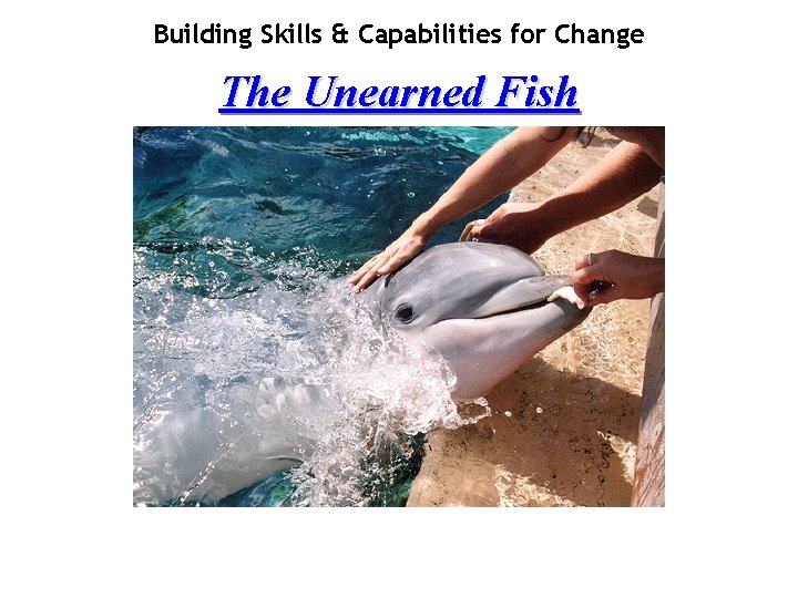 Building Skills & Capabilities for Change The Unearned Fish 