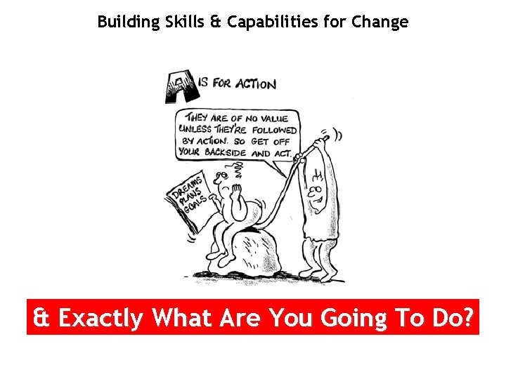 Building Skills & Capabilities for Change & Exactly What Are You Going To Do?