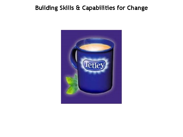 Building Skills & Capabilities for Change 