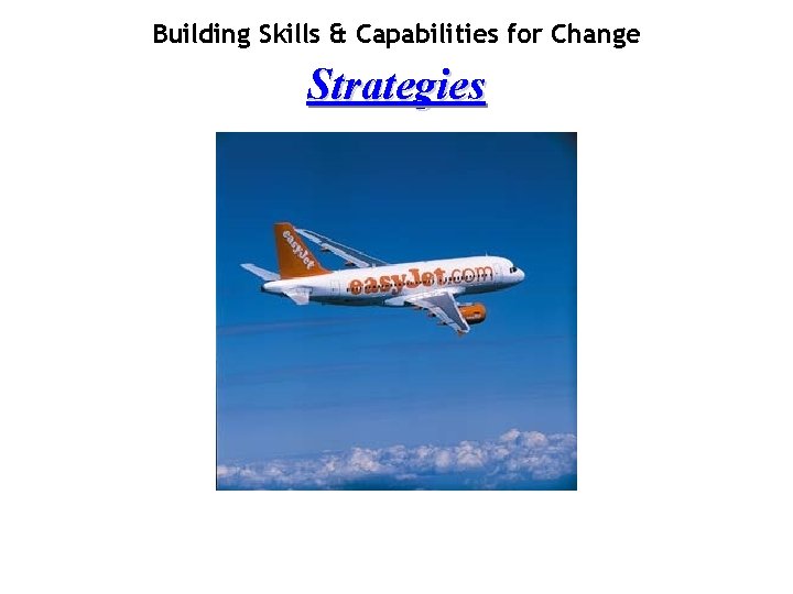 Building Skills & Capabilities for Change Strategies 