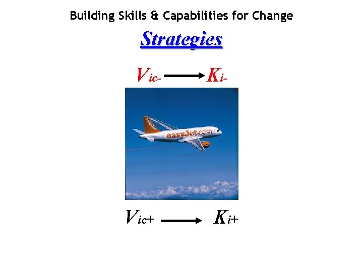 Building Skills & Capabilities for Change Strategies Vic- Vic+ Ki- Ki+ 