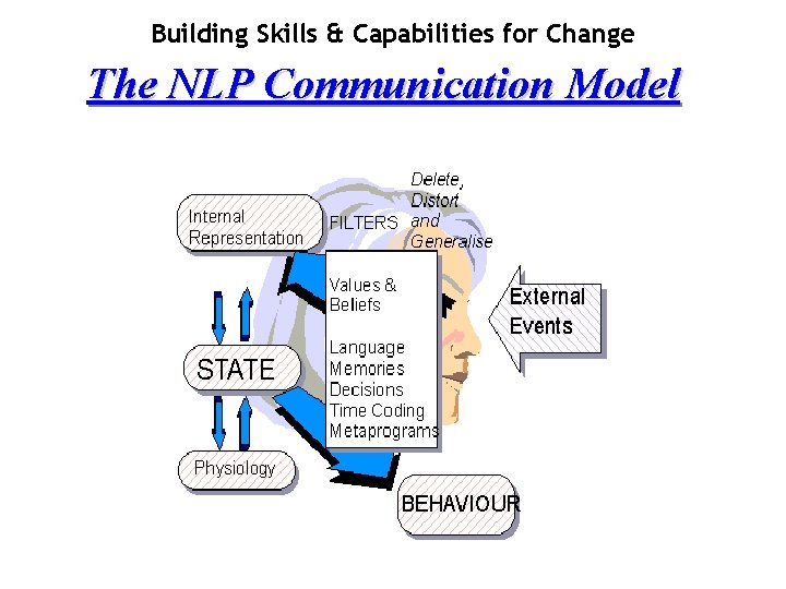 Building Skills & Capabilities for Change The NLP Communication Model 