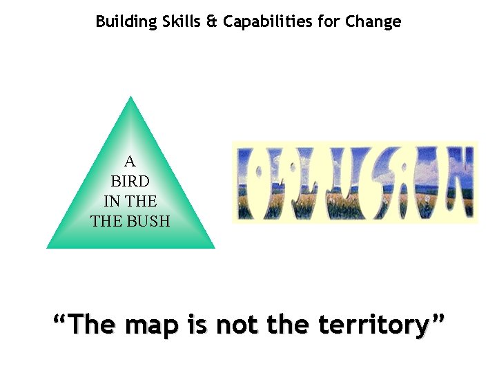 Building Skills & Capabilities for Change A BIRD IN THE BUSH “The map is