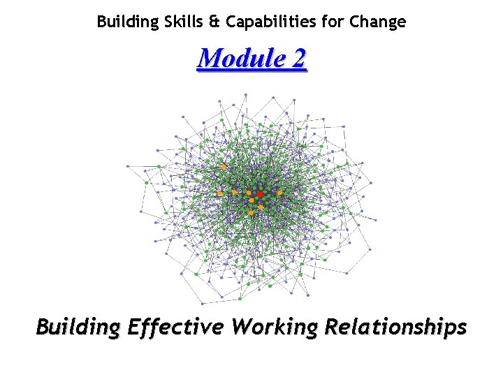 Building Skills & Capabilities for Change Module 2 Building Effective Working Relationships 