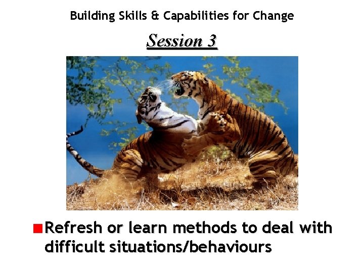 Building Skills & Capabilities for Change Session 3 Refresh or learn methods to deal