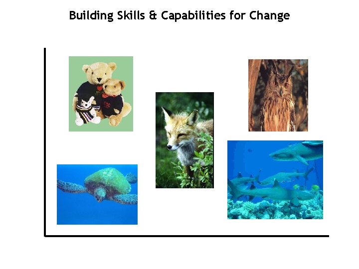 Building Skills & Capabilities for Change 