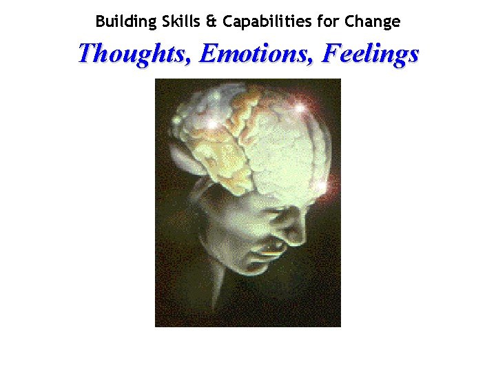 Building Skills & Capabilities for Change Thoughts, Emotions, Feelings 