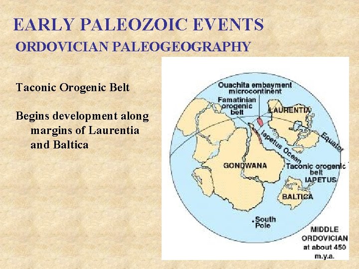 EARLY PALEOZOIC EVENTS ORDOVICIAN PALEOGEOGRAPHY Taconic Orogenic Belt Begins development along margins of Laurentia