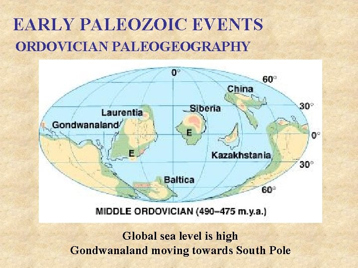EARLY PALEOZOIC EVENTS ORDOVICIAN PALEOGEOGRAPHY Global sea level is high Gondwanaland moving towards South