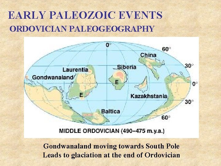 EARLY PALEOZOIC EVENTS ORDOVICIAN PALEOGEOGRAPHY Gondwanaland moving towards South Pole Leads to glaciation at