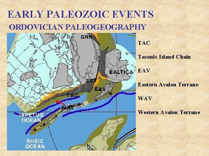 EARLY PALEOZOIC EVENTS ORDOVICIAN PALEOGEOGRAPHY TAC Taconic Island Chain EAV Eastern Avalon Terrane WAV