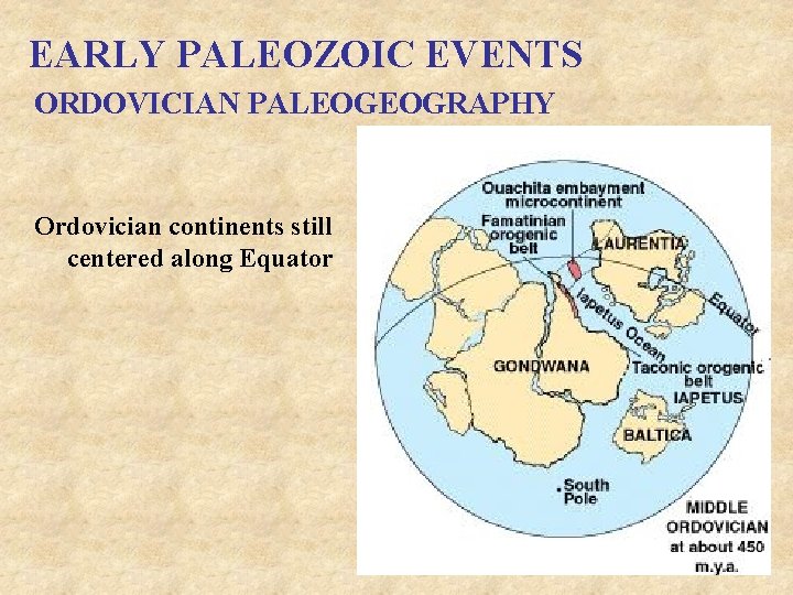 EARLY PALEOZOIC EVENTS ORDOVICIAN PALEOGEOGRAPHY Ordovician continents still centered along Equator 